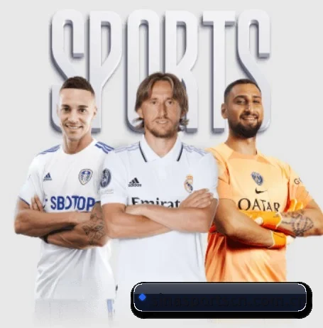 新浪体育 APP（Sina Sports）